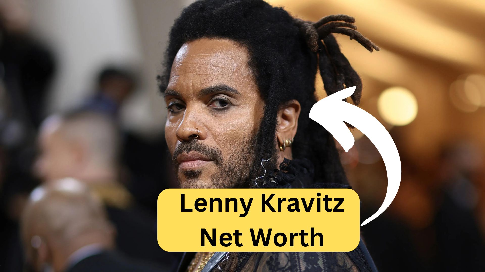 Lenny Kravitz Net Worth:performing live, reflecting his legendary status in music and his accumulated wealth.